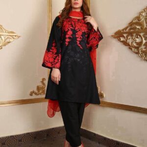 Phulkari DHANAK EMB 2PC